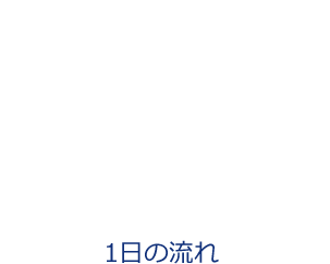 1日の流れ